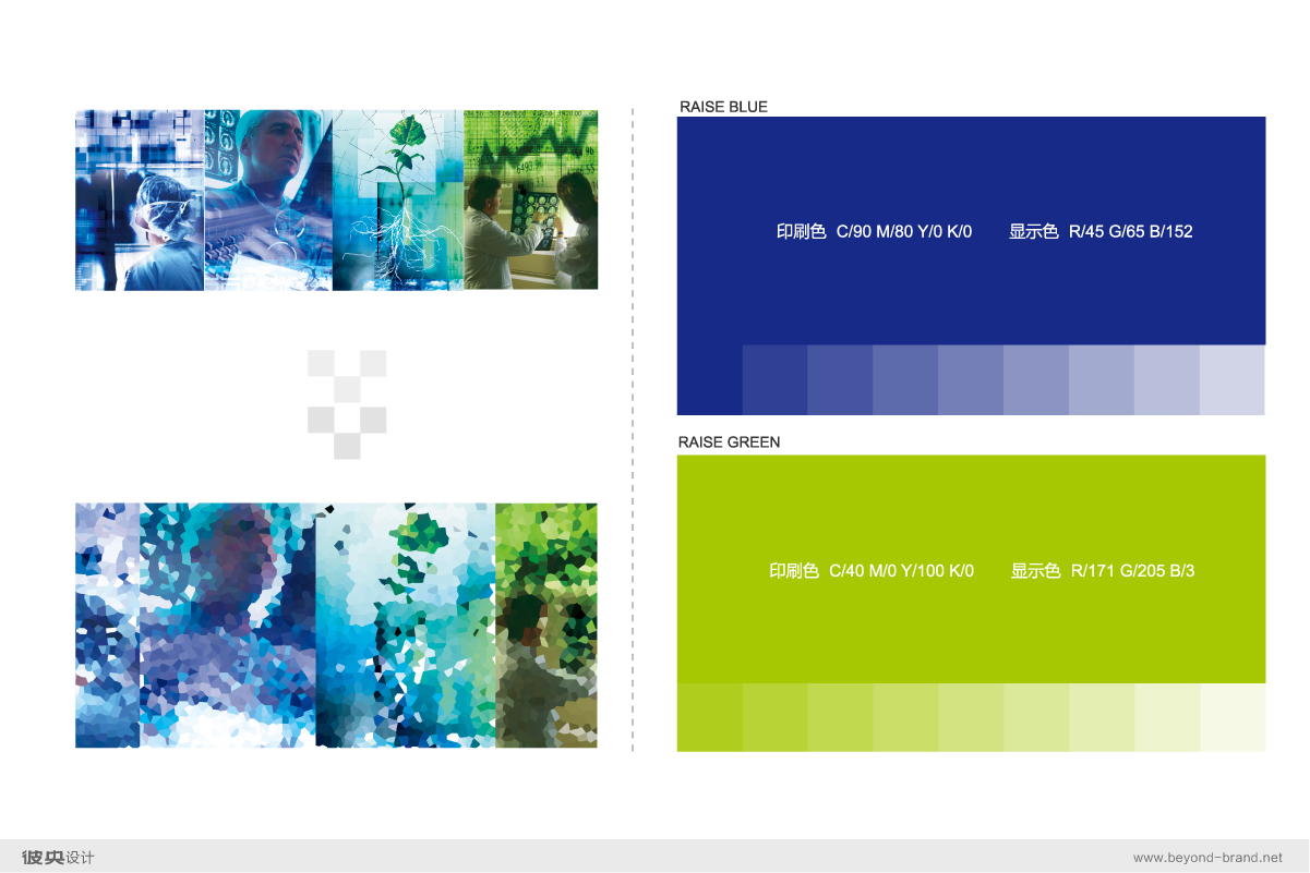 成都锐之狮科技品牌vi形象设计-成都vi设计公司-彼央设计 成都锐之狮科技品牌vi形象设计-成都vi设计公司-彼央设计